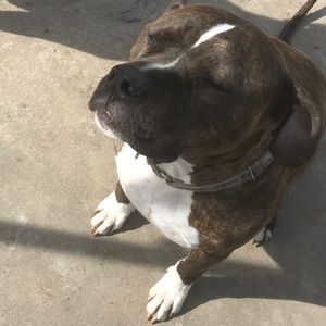 Meet your Posher, Kristine